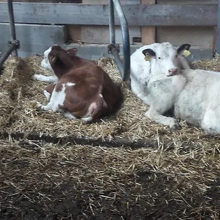 דירה Bauernhof Waira