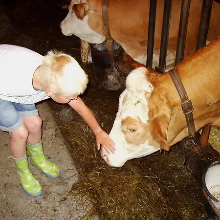 דירה Bauernhof Waira Yspertal