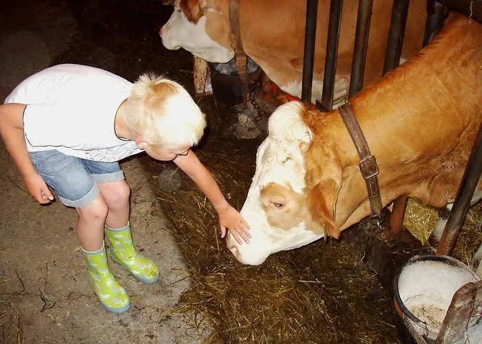 公寓 宝轮豪夫维拉酒店 Yspertal