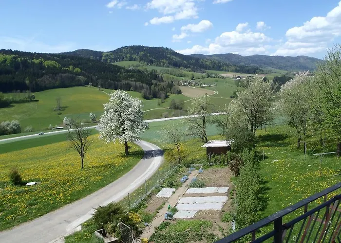 公寓 宝轮豪夫维拉酒店